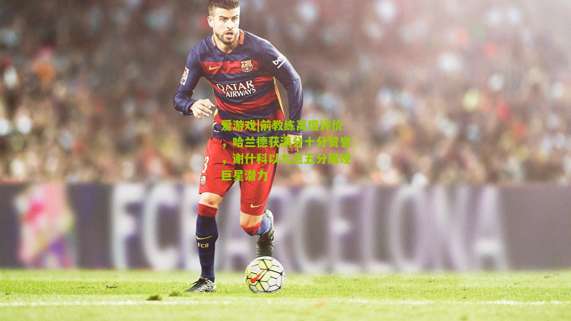 前教练高度评价，哈兰德获满分十分赞誉，谢什科以九点五分展现巨星潜力
